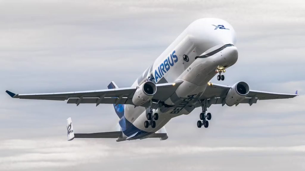 belugaxl