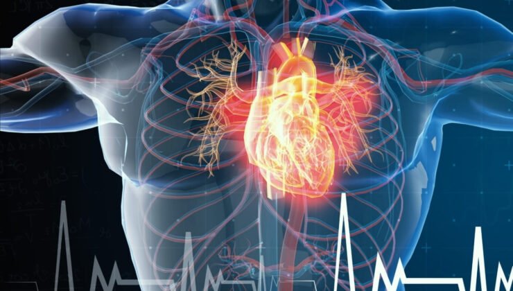 “Doğal” Her Zaman “Masum” Değildir: Bir Ginseng Skandalı