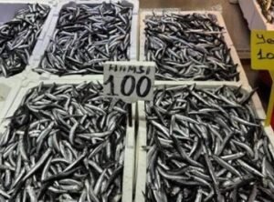 Balık Tezgahlarında Şok Fiyatlar: Hamsi ve İstavrit 100 Lira!