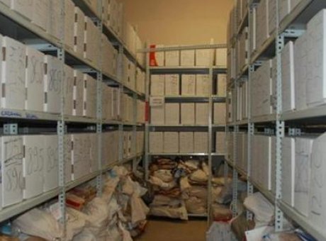 Büyükçekmece’de Şok Soygun: Emanet Bürosundan 25 Kilogram Altın Çalındı