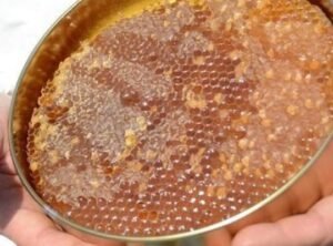 Doğu Karadeniz'den Bal İhracatında Rekor: 1,9 Milyon Dolar!