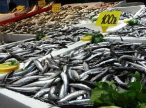 Karadeniz'in Hamsi Cenneti: Balık Tezgahları Şenlendi!