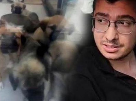Köpeklerin Katili Doktorun Şok Eden Savunması: ‘Kesilen Saçlarımız!’