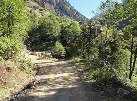 Rize Ormanlarını Tehdit Eden İklim Değişikliği: 174 Bin Hektar Riskte!