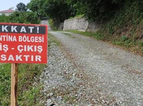 Sakarya’da Şok Karantina: 37 Mahallede Hayvan Hareketleri Durduruldu