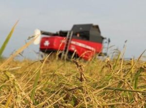 Tarım Sigortası Ödemeleri Şaşırtıyor: 4,2 Milyar Lira Üreticilere Ulaştı!