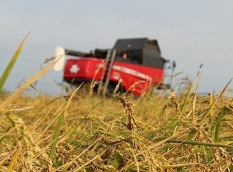 Tarım Sigortası Ödemeleri Şaşırtıyor: 4,2 Milyar Lira Üreticilere Ulaştı!