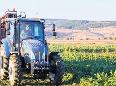 Türkiye’de Tarımda Yeni Dönem: Kiralanan Arazilerle Üretim Artıyor