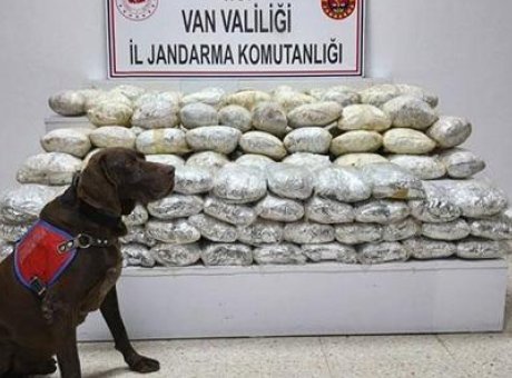 Van’da Uyuşturucu Operasyonu: 60 Kilogram Skunk Ele Geçirildi!