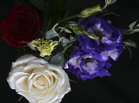 Yılbaşı İçin Türkiye’den 12 Milyon Dolarlık Çiçek İhracatı: En Çok Hangi Ülkeler Sipariş Verdi?