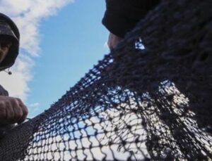 Balık&ccedil;ılar Sezonun Yarısında G&uuml;l&uuml;msetti: Hamsi ve Sardalya Bereketi!