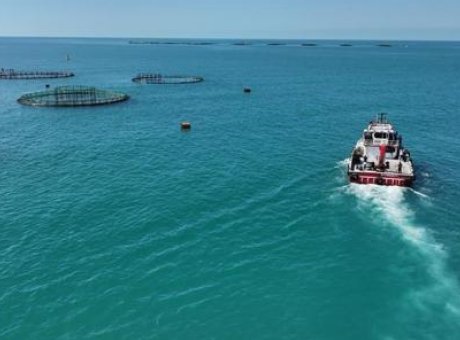 Balık&ccedil;ılıkta Tarihi Başarı: T&uuml;rkiye İhracatı 2 Milyar Doları Aştı!