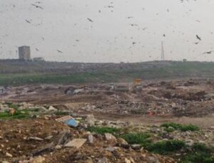 Bursa’da Şok Denetim: B&uuml;y&uuml;kşehir Belediyesi’ne 1.8 Milyon TL Ceza!