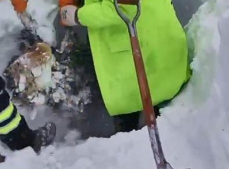 &Ccedil;ığ Faciası Artvin&rsquo;de Can Aldı: Bir &Ccedil;obanın Cansız Bedeni Bulundu