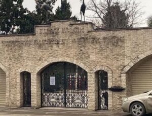 Darıca Hayvanat Bah&ccedil;esi Kapanıyor: 33 Yıllık Tarih Sona Eriyor!