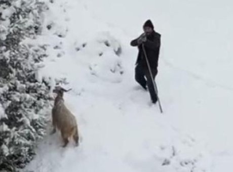 Dronun Sesi Çobanın Tüfeğini Ateşle Tanıştırdı: O Anlar Kamerada!