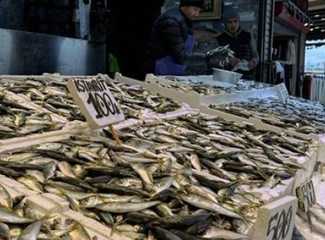 Hamsi Yerini İstavrite Bıraktı: Trabzon’daki Balık Tezgahlarında Neler Oluyor?