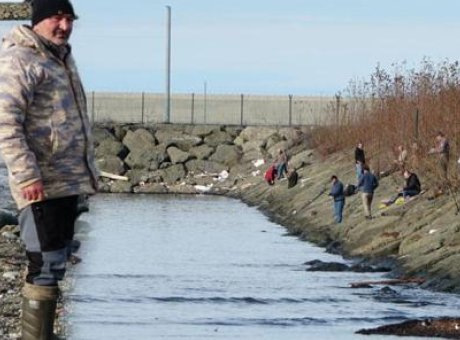 Karadeniz’de Balık Patlaması! Sahil, Hızla Balık&ccedil;ıların Akınına Uğradı