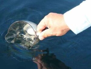 Karadeniz’de Petrol Keşfi: Bilimsel Analizlerden Şaşırtıcı Sonu&ccedil;lar!