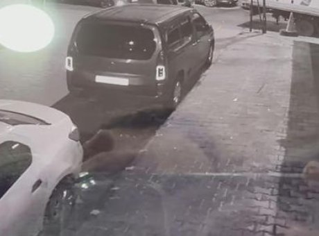 Karanlık Bir Cinayet: Ka&ccedil;ış Planındaki Arkadaşını Vuran Adamın Sırrı Ortaya &Ccedil;ıktı!