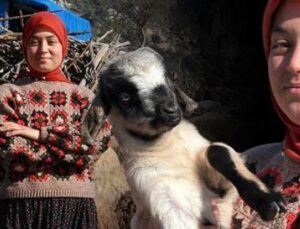 K&ouml;ydeki Hayatını Se&ccedil;ti: Gen&ccedil; Kadın, Hayvancılıkta Başarıyı Yakaladı