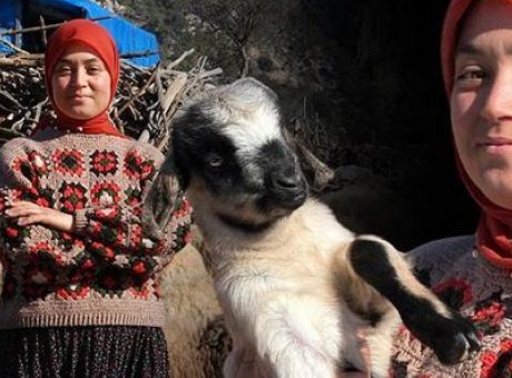 Köydeki Hayatını Seçti: Genç Kadın, Hayvancılıkta Başarıyı Yakaladı