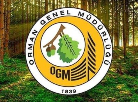 Orman Alanlarında Radikal Değişiklik: Yeni Y&ouml;netmelik Neleri Getiriyor?