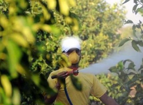 Tarımda Devrim: B-Reçete ile Gıda Güvenliği Sağlanıyor!