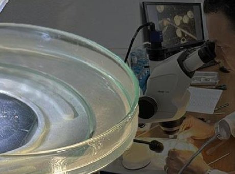 T&uuml;rk Bilim D&uuml;nyasında &Ccedil;ığır A&ccedil;an Keşif: 13 Yılda 29 Yeni T&uuml;r!