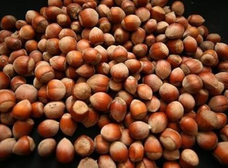 T&uuml;rk Fındığı İhracatında Şaşırtıcı Genişleme: 122 &Uuml;lkeye Ulaşıyor!