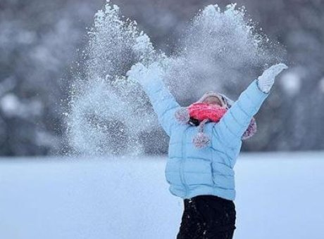 Yoğun Kar Yağışı Tunceli ve Muş’ta Eğitime Ara Verdi: Neler Oluyor?