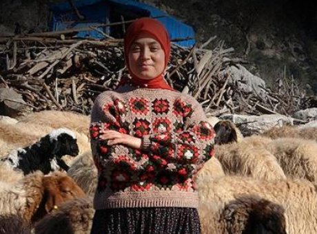 Yörük Kızı Hayvancılığı ve Eğitimiyle Dikkat Çekiyor: Geleneksel Kültürün İhtişamı