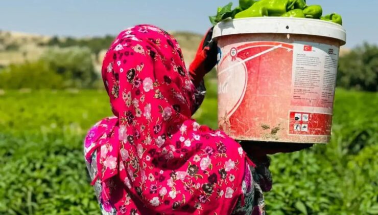 GAP Bedesten ile Kadın Emeği Yerelden K&uuml;resele Taşınıyor