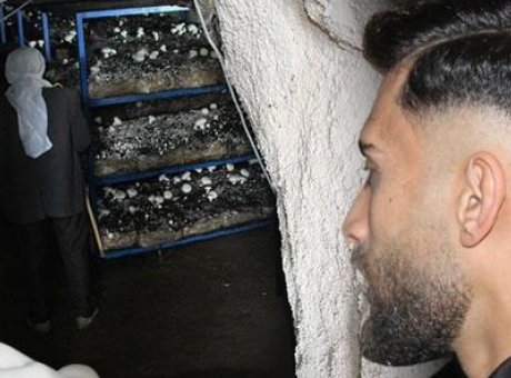 2 Bin Yıllık Mağarada Mantar &Uuml;retimi: Şırnak’tan Eşsiz Bir Başarı Hikayes