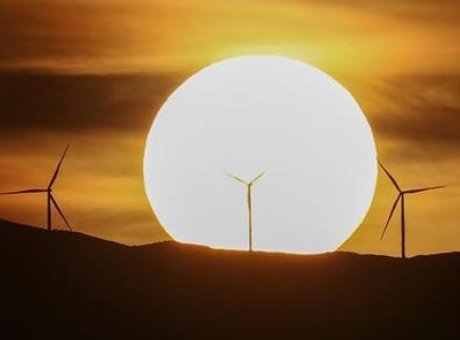 2025&rsquo;te Yenilenebilir Enerji Kapasitesi Rekor Kırdı: K&uuml;resel G&uuml;&ccedil; Artışı Nereye Gidiyor?