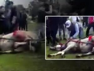Adana’da Şok Eden G&ouml;r&uuml;nt&uuml;ler: Koşmayan Atına Acımasız Saldırı!