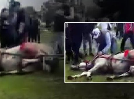 Adana’da Şok Eden G&ouml;r&uuml;nt&uuml;ler: Koşmayan Atına Acımasız Saldırı!