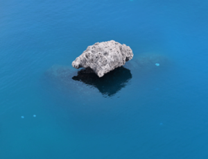 Antalya Kıyılarında Denizanaları Alarmı: Uzak Durun!