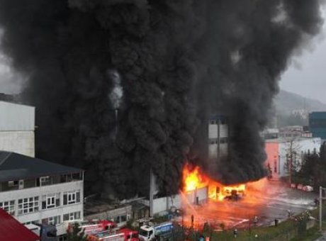 Fındık Fabrikasında Korkutan Yangın: &Ccedil;alışanlar Tahliye Edildi!