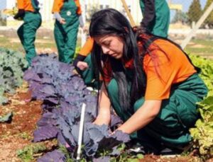 Geleceğin Tarım Yıldızları &Ccedil;ukurova&rsquo;da Yetişiyor: İş Bulma Oranı Y&uuml;zde 90!