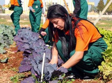 Geleceğin Tarım Yıldızları &Ccedil;ukurova&rsquo;da Yetişiyor: İş Bulma Oranı Y&uuml;zde 90!