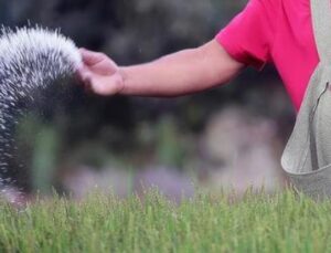 H&uuml;rm&uuml;z Boğazı’ndaki Kriz: K&uuml;resel G&uuml;bre Tedarik Zincirine Darbe mi Geliyor?