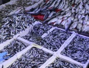 Ramazan’da Balık Satışları Neden Dip Yaptı? İşte &Ccedil;arpıcı Analiz!