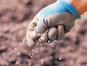 &Uuml;reticileri B&uuml;y&uuml;ten Kriz: G&uuml;bre Fiyatları Y&uuml;zde 26.5 Arttı!