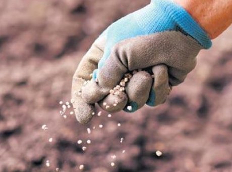 &Uuml;reticileri B&uuml;y&uuml;ten Kriz: G&uuml;bre Fiyatları Y&uuml;zde 26.5 Arttı!