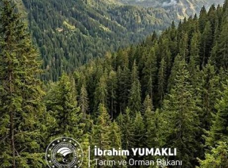 Yeşil T&uuml;rkiye İ&ccedil;in Kritik Adım: Bakan Yumaklı’dan &Ccedil;arpıcı Mesajlar