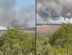 Beykoz Orman Yangınında Korkutan Anlar: Alevler Yeniden Y&uuml;kseldi!