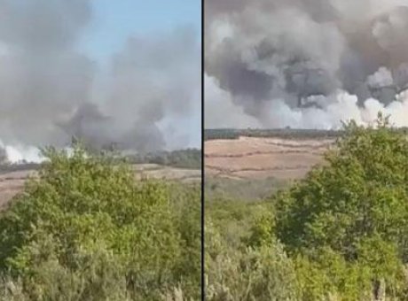 Beykoz Orman Yangınında Korkutan Anlar: Alevler Yeniden Y&uuml;kseldi!