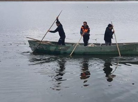 Beyşehir G&ouml;l&uuml;’nde Av Yasağına Uyanlara Şok Ceza: 439 Bin Lira!