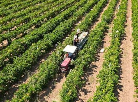 &Ccedil;ift&ccedil;iler İ&ccedil;in Tarihi Destek: 17,4 Milyar Lira Bug&uuml;n Hesaplarda!